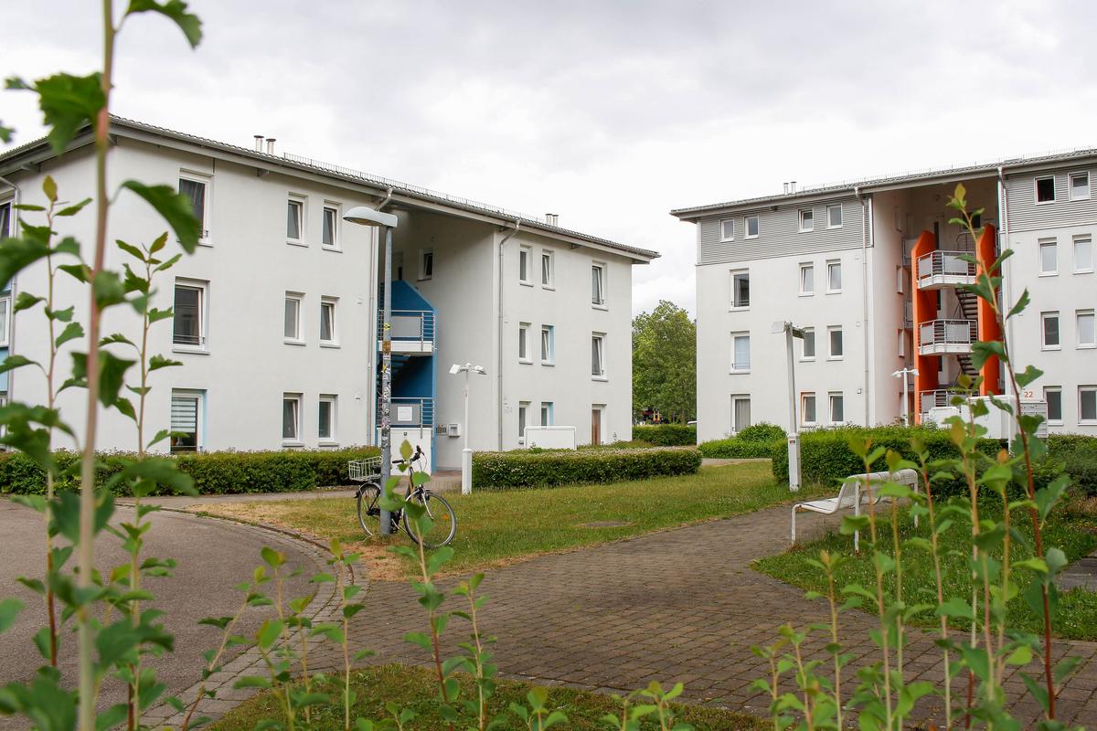 Two white residential complexes in the Ludwigburg student village. Plants can be seen in the foreground. A bicycle is tied to a lamppost.